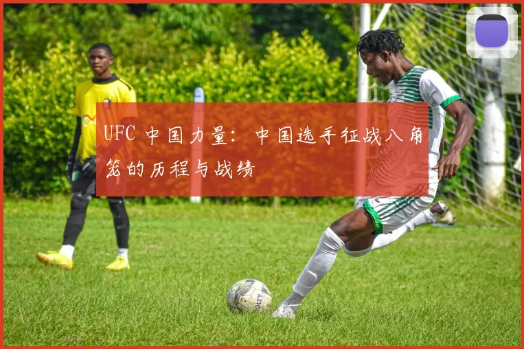 UFC 中国力量：中国选手征战八角笼的历程与战绩