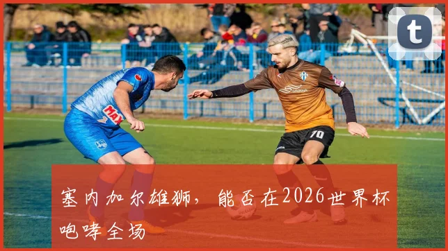 塞内加尔雄狮，能否在2026世界杯咆哮全场
